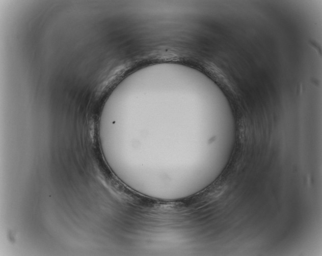 X0000102500072200808080954