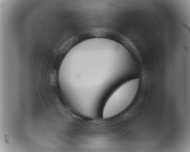 X0000102500073200808080954