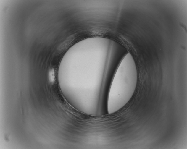 X0000102500075200808080954