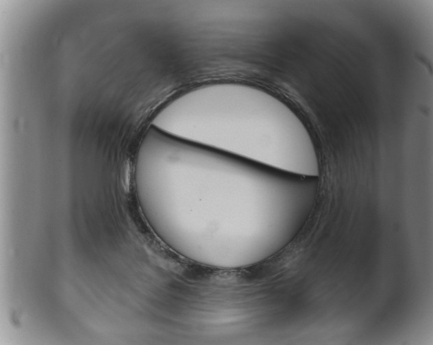 X0000102500076200808080954