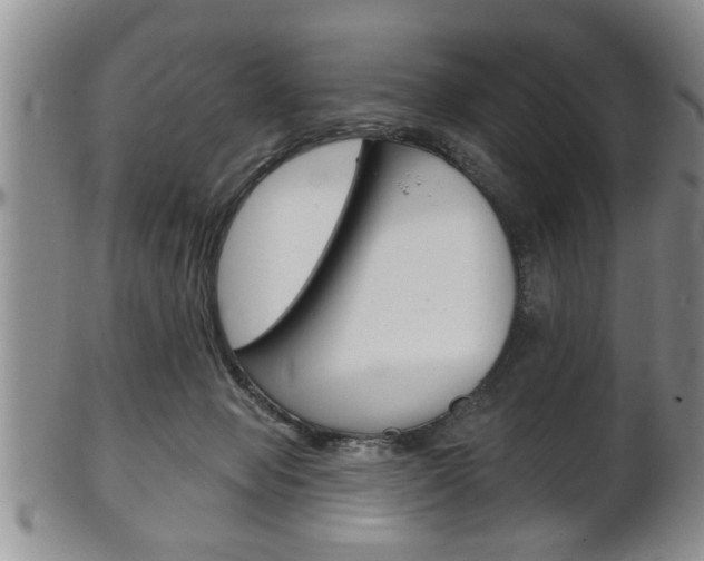 X0000102500077200808080954