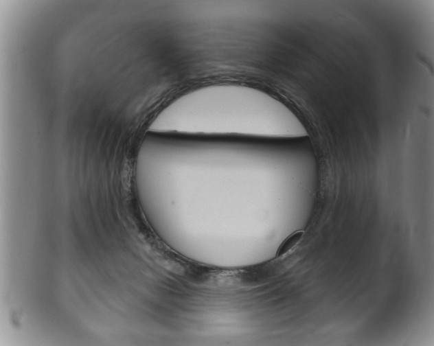 X0000102500078200808080954