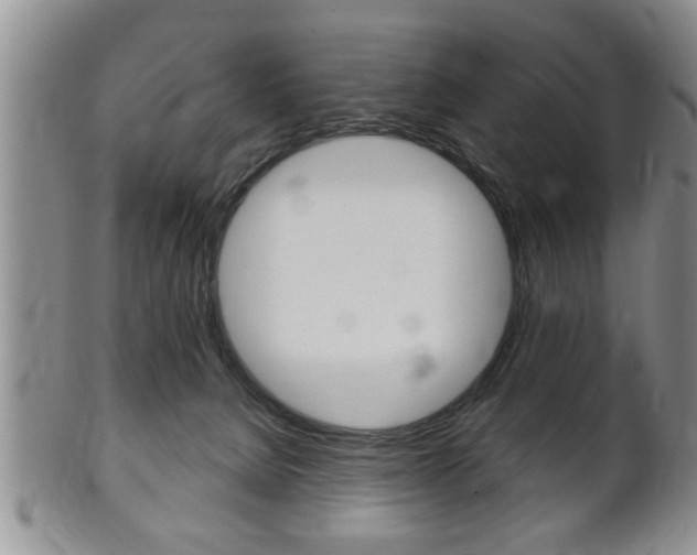 X0000102500080200808080954