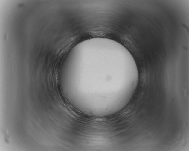 X0000102500081200808080954