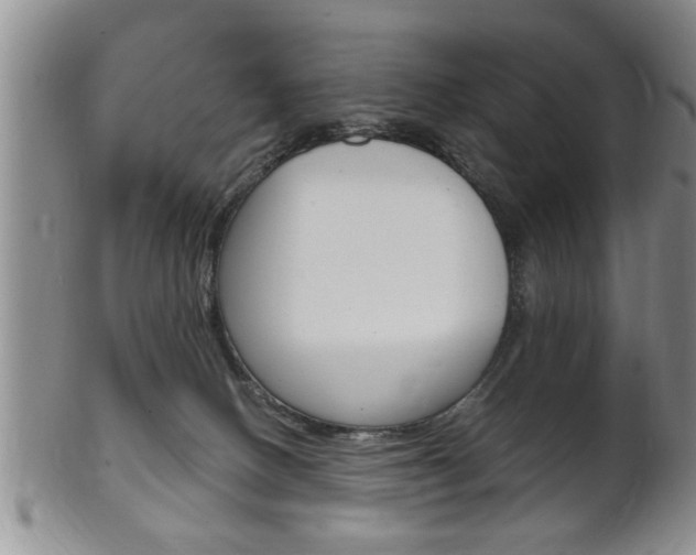 X0000102500082200808080954