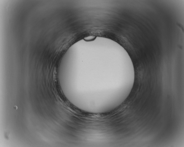 X0000102500083200808080954