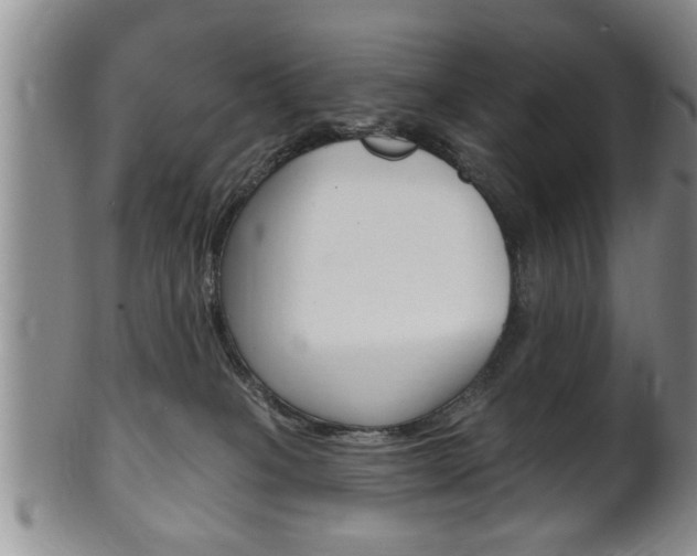 X0000102500085200808080954