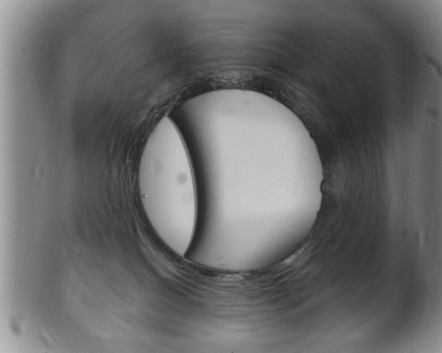X0000102500086200808080954