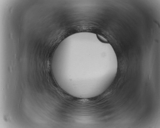 X0000102500087200808080954