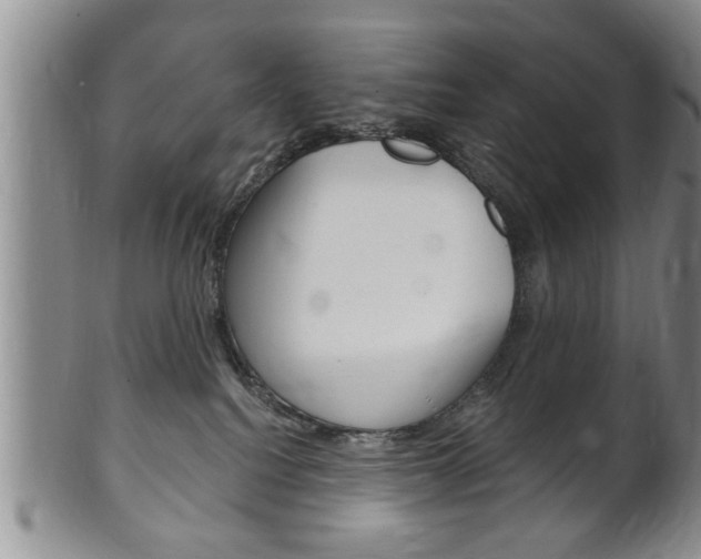 X0000102500088200808080954