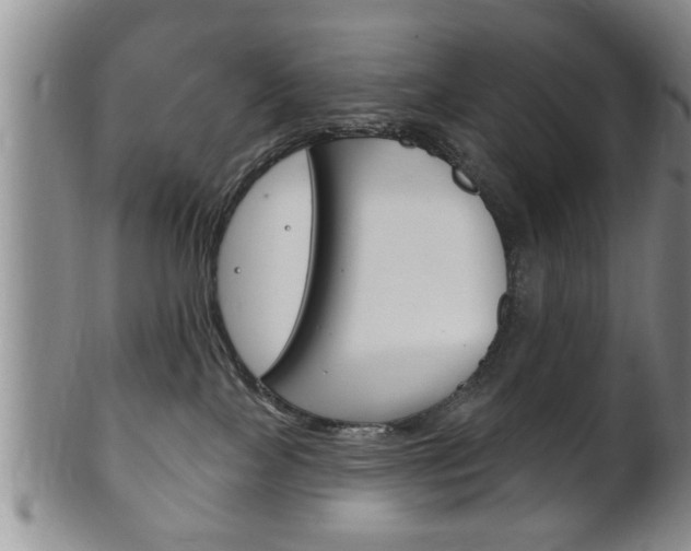 X0000102500089200808080954