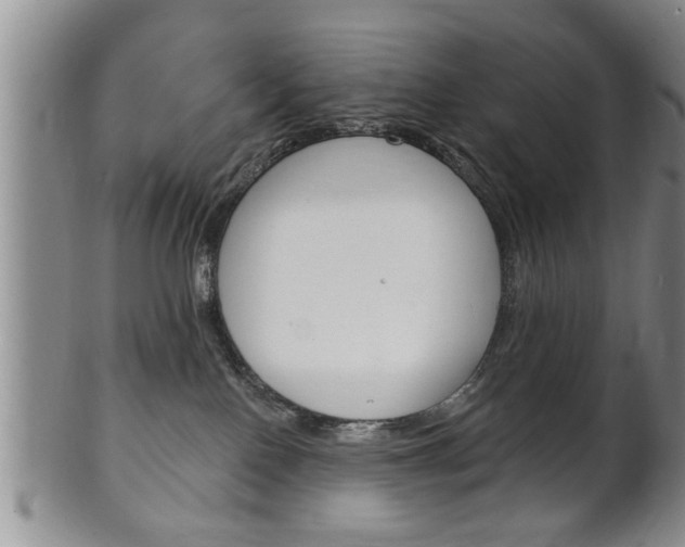 X0000102500090200808080954