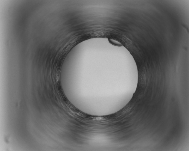 X0000102500091200808080954