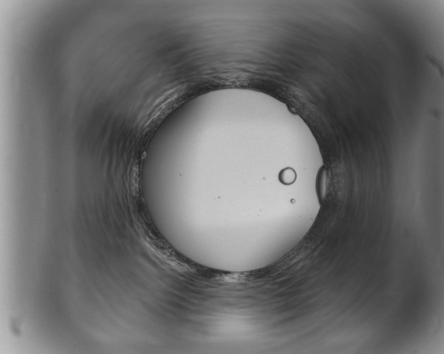 X0000102500092200808080954
