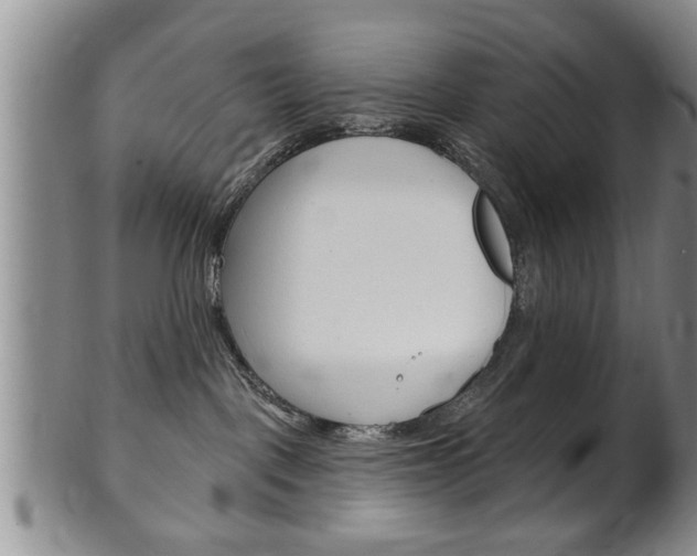 X0000102500093200808080954
