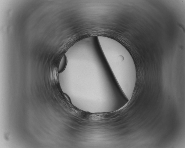 X0000102500094200808080954