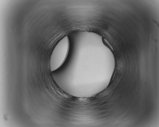 X0000102500095200808080954