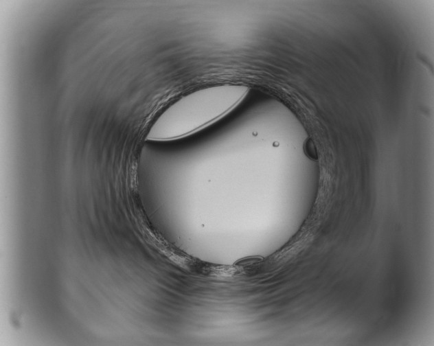X0000102500096200808080954