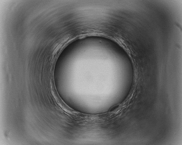X0000102500097200808080954