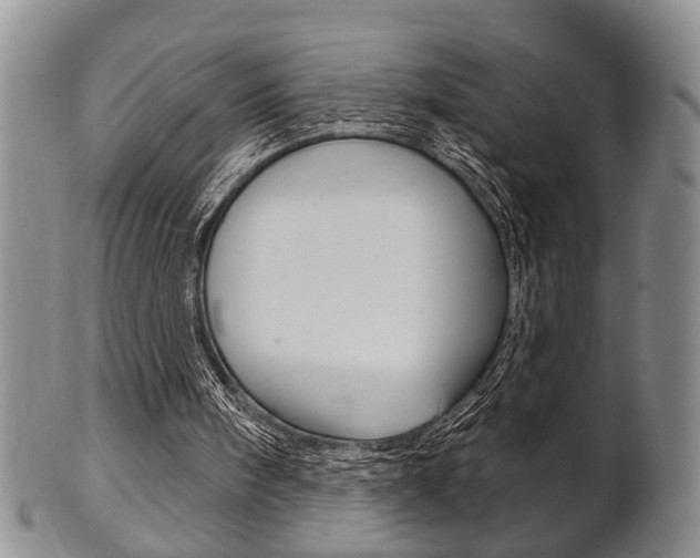 X0000102500098200808080954
