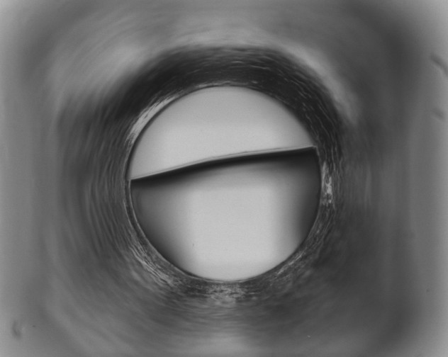 X0000102500099200808080954