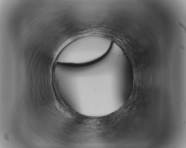 X0000102500100200808080954
