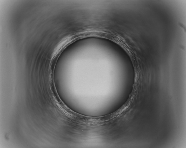 X0000102500101200808080954