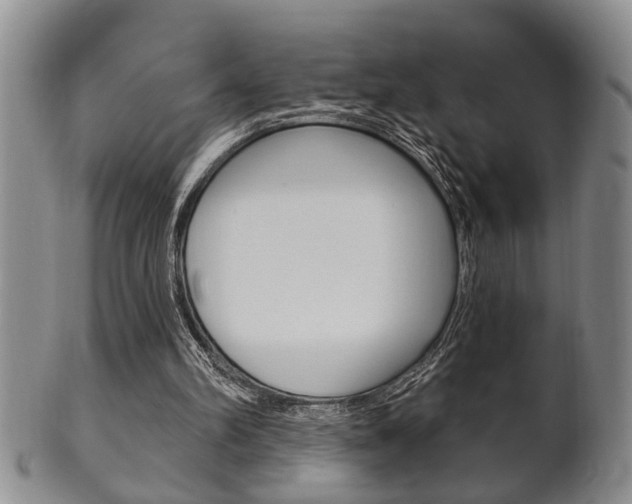 X0000102500102200808080954