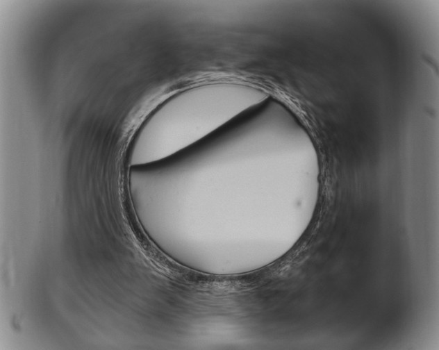 X0000102500103200808080954
