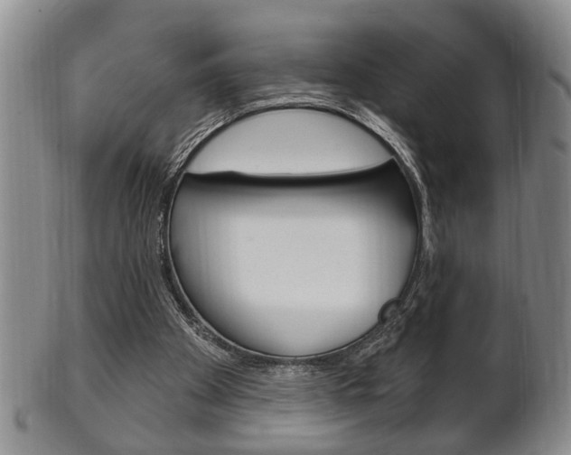 X0000102500105200808080953