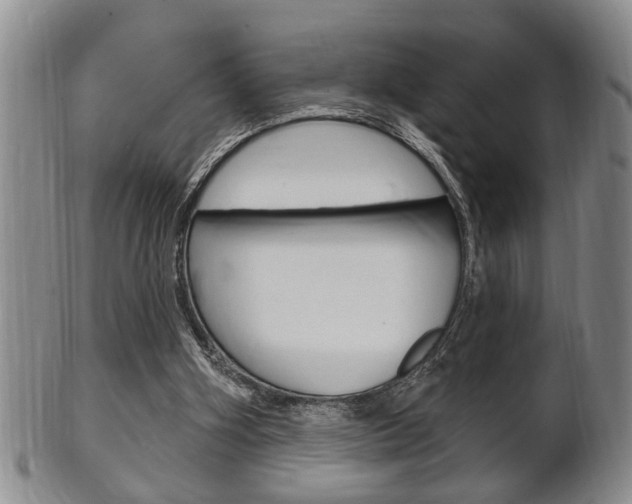 X0000102500106200808080953