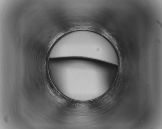 X0000102500107200808080953