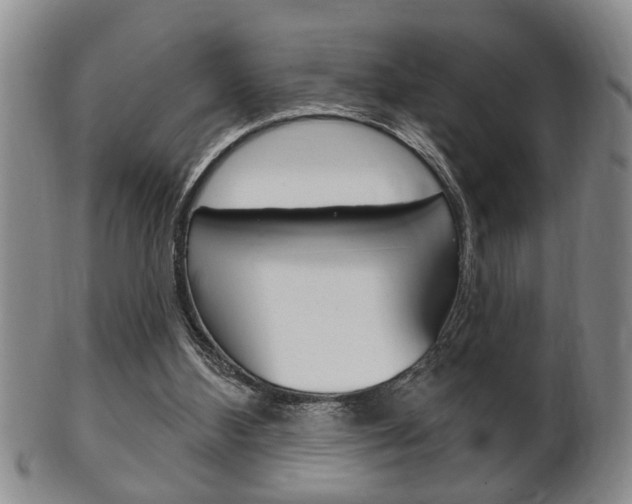 X0000102500108200808080953