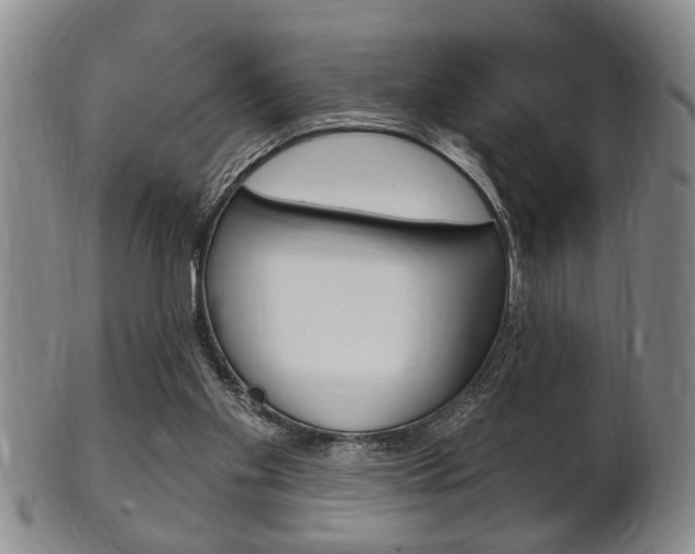 X0000102500109200808080953