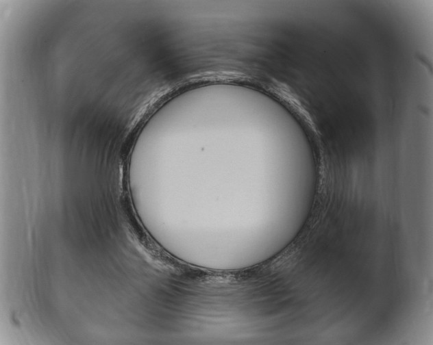 X0000102500110200808080953