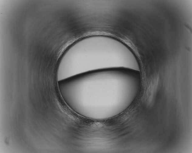 X0000102500111200808080953