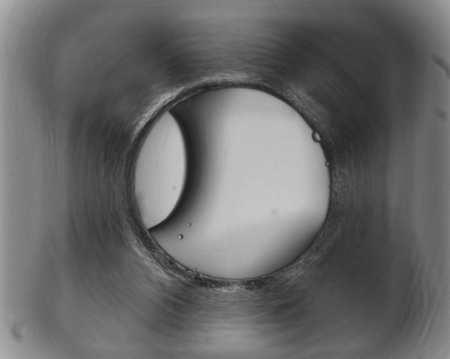 X0000102500112200808080953