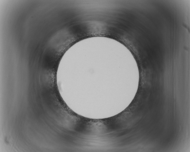 X0000102500113200808080953
