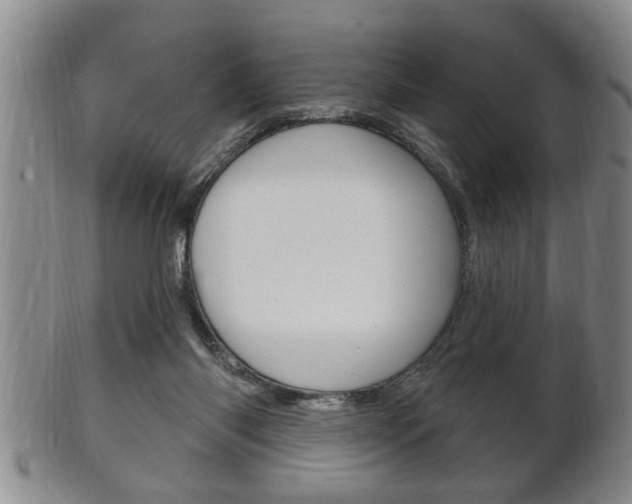 X0000102500118200808080953
