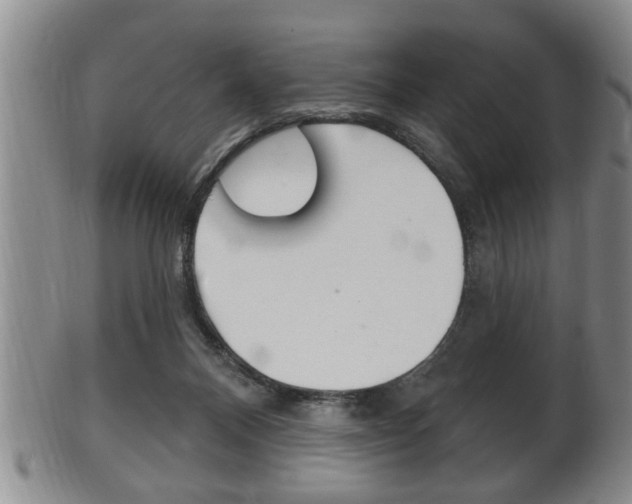 X0000102500120200808080953