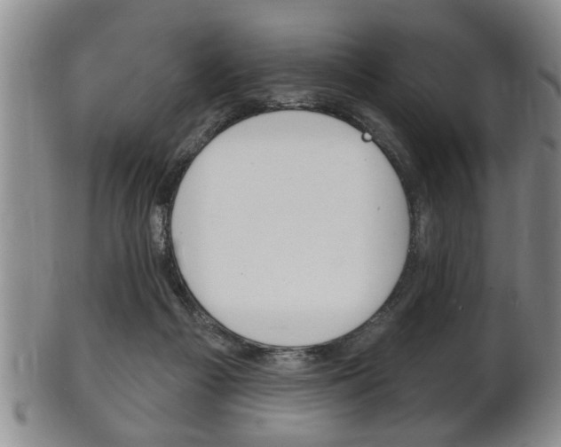 X0000102500121200808080953