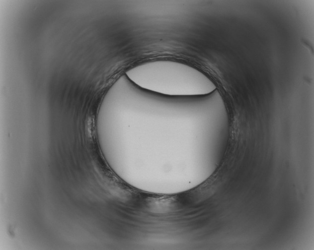 X0000102500122200808080953