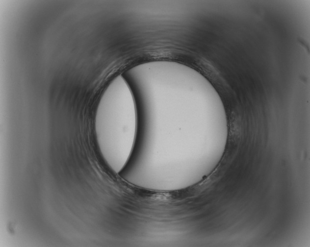 X0000102500124200808080953