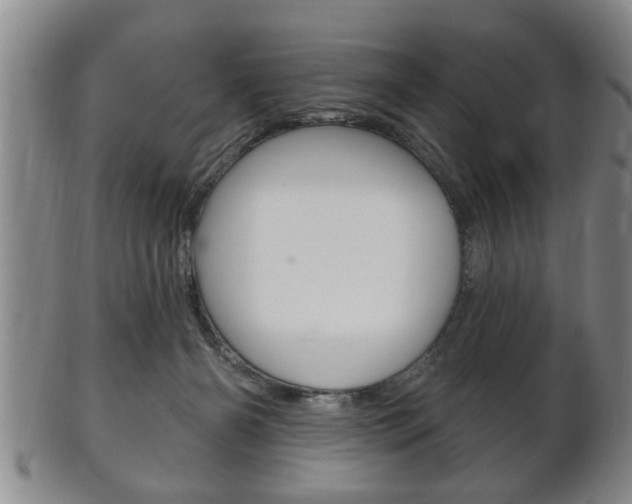 X0000102500126200808080953
