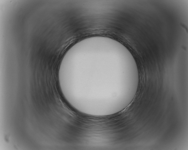 X0000102500128200808080953