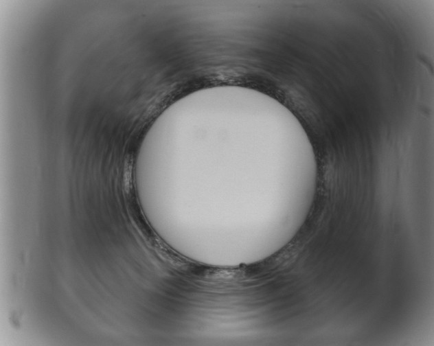 X0000102500129200808080953