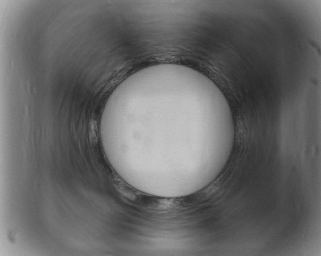 X0000102500130200808080953
