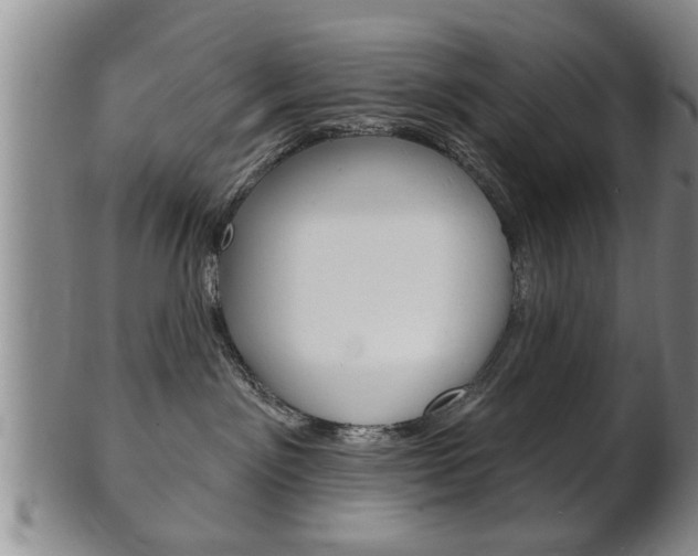 X0000102500141200808080953