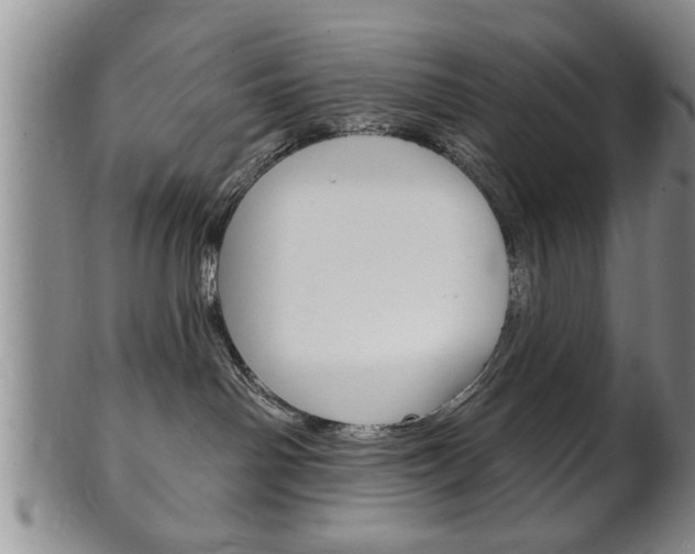X0000102500142200808080953