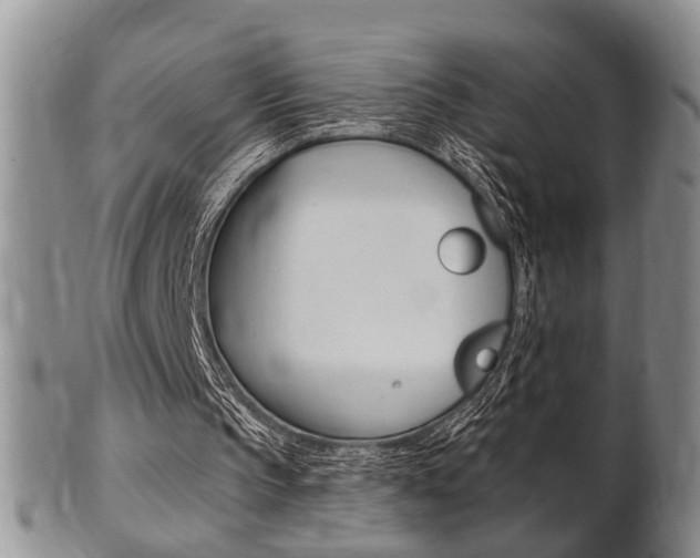 X0000102500145200808080952